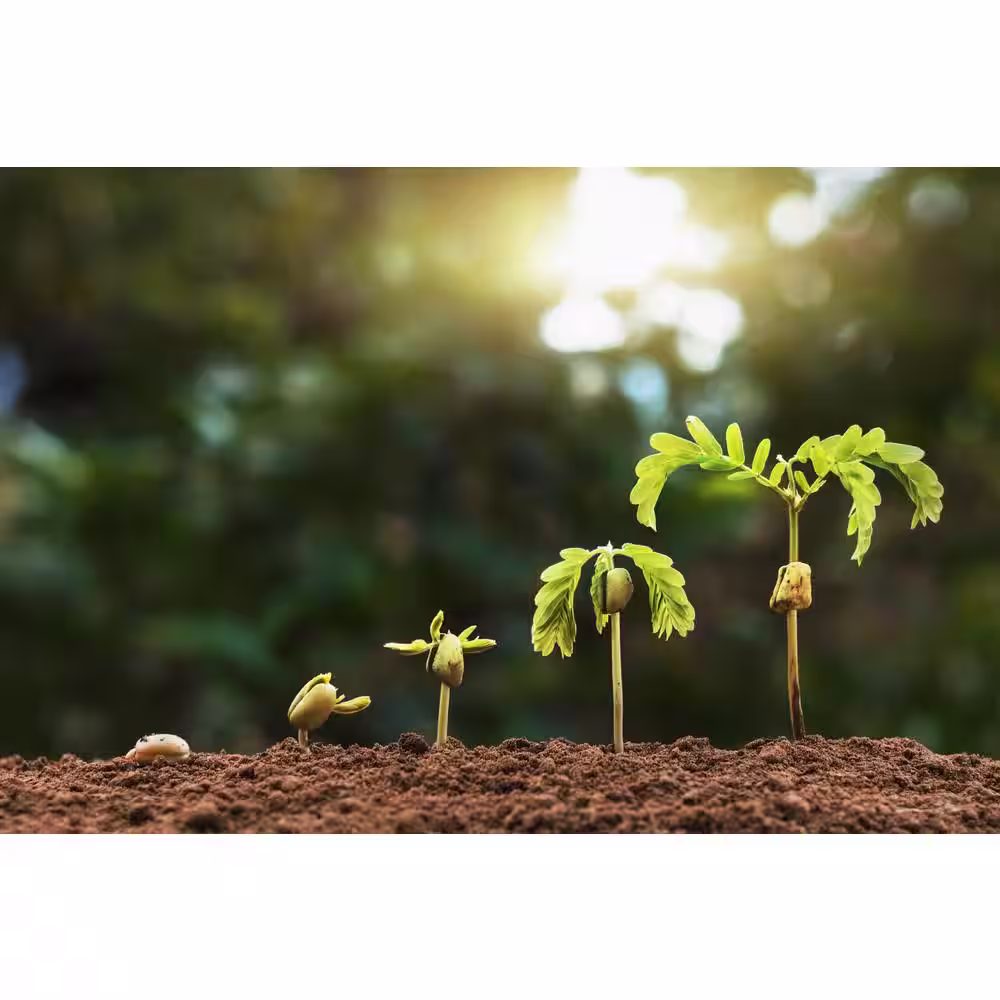 Noble Worm Organics 1 cu. ft. / 25 lb. Organic Worm Casting Soil