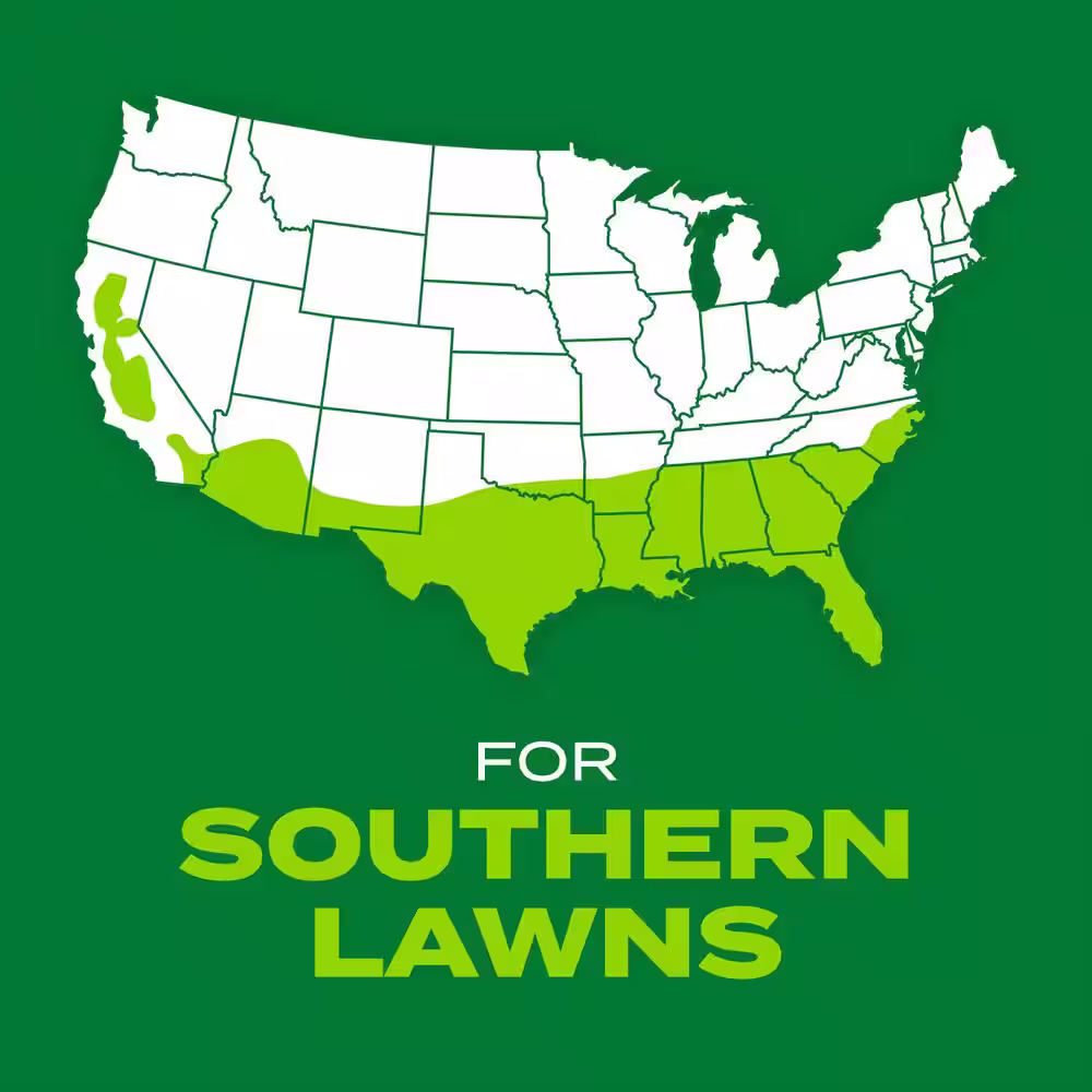 Scotts Turf Builder 4 lbs. Rapid Grass Bermudagrass Combination Seed and Fertilizer Grows Green Grass Fast