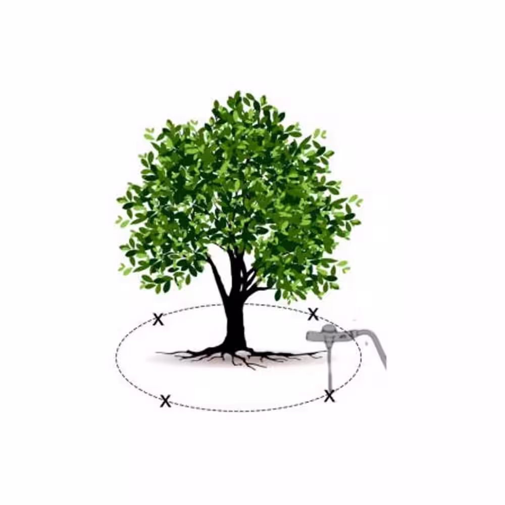 Ross 1.33 lb. Root Feeder Fertilizer Refills for Trees (36-Pack)