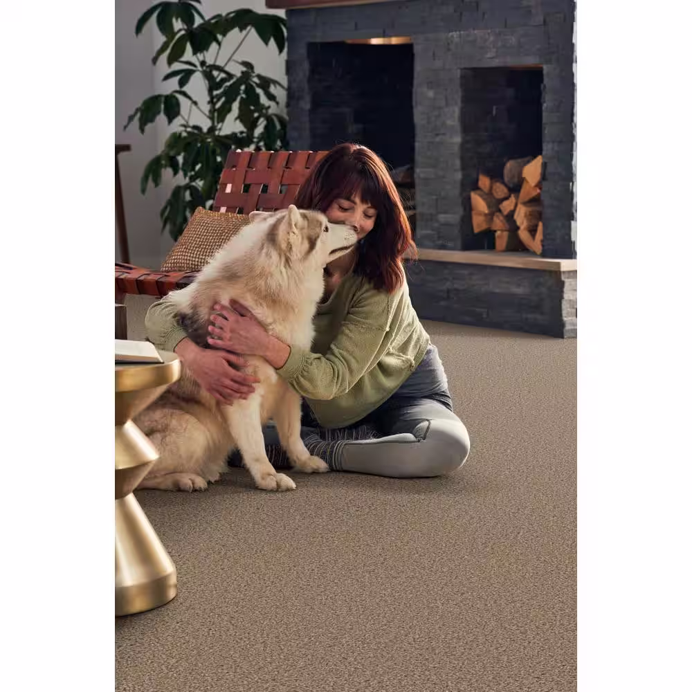 Home Decorators Collection Pioneer - Oatbarn - Brown 73.5 oz. SD Polyester Texture Installed Carpet