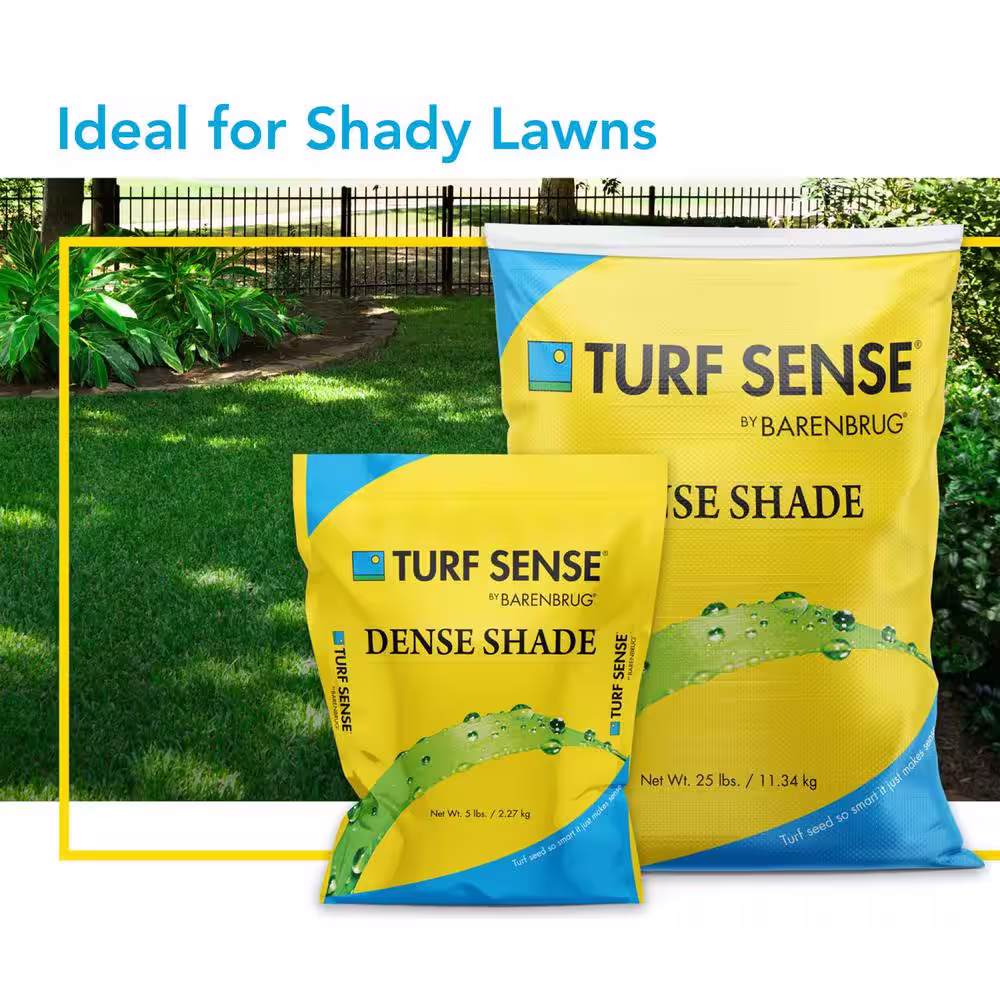 Barenbrug 50 lbs. 10,000 sq. ft. Turf Sense Dense Shade Mix Grass Seed