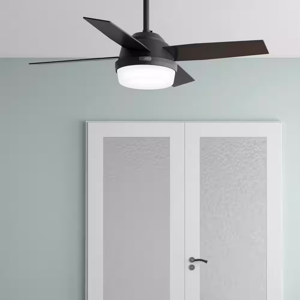 Hunter Dempsey 44 in. Indoor Matte Black Ceiling Fan with Remote and Light Kit Included