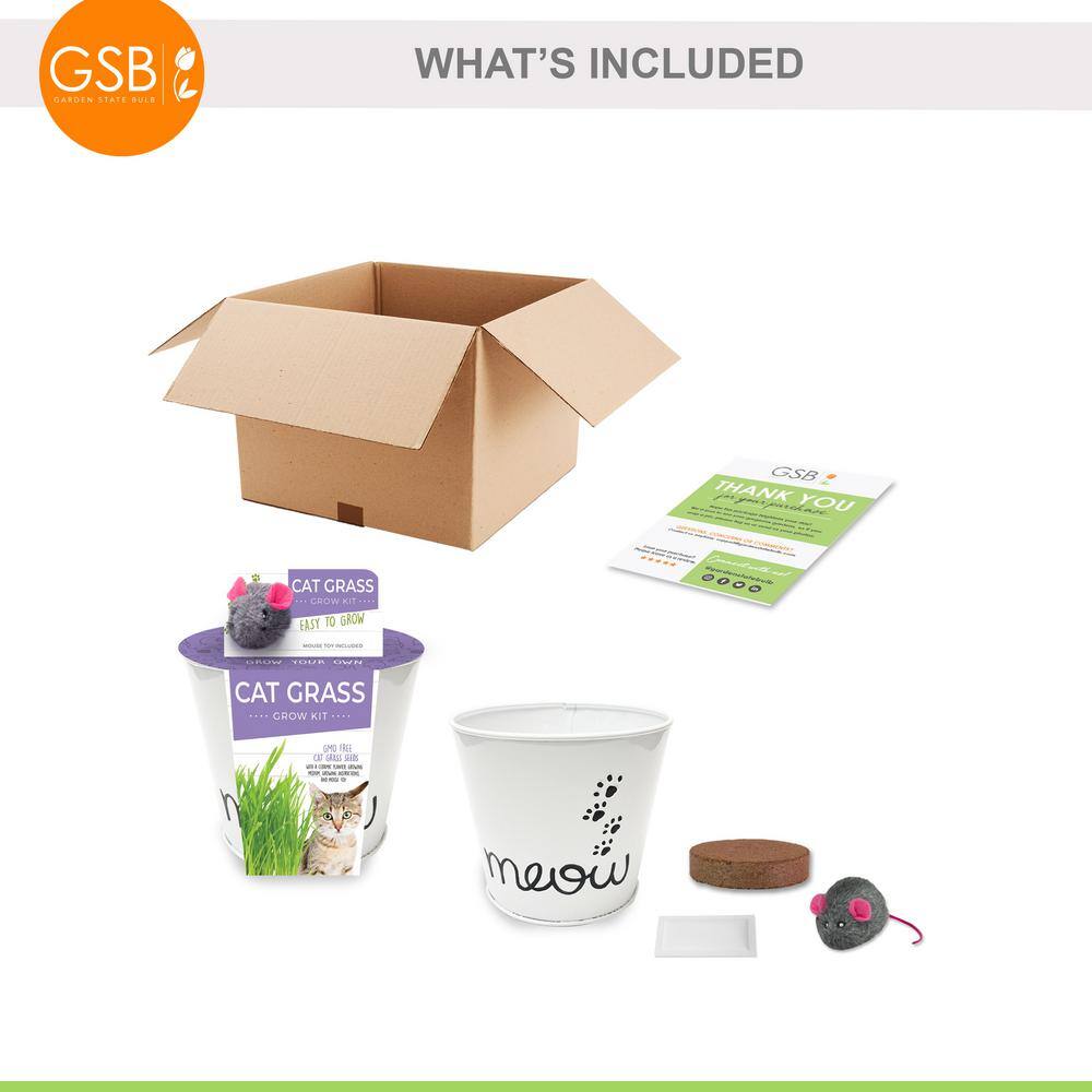 Garden State Bulb Cat Grass Herb Seed Grow Kit with Mouse Toy (2-Pack)
