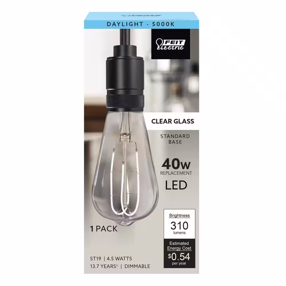 Feit Electric 40-Watt Equivalent ST19 DImmable M Shape Filament Clear Glass E26 Vintage Edison LED Light Bulb, Daylight 5000K (4-Pack)