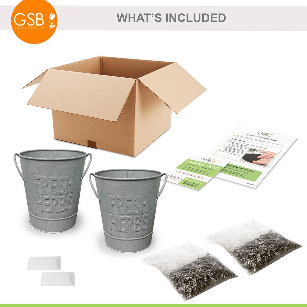 Garden State Bulb Herb Garden Kit with Aged Zinc Metal Planter (Mint and Lavender) (2-Pack)